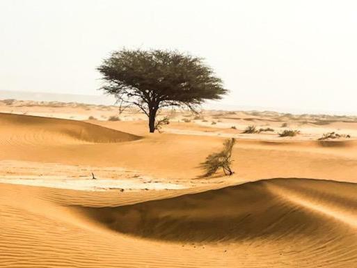 Erg Chegaga Camp & Activites Villa M'Hamid Exterior photo